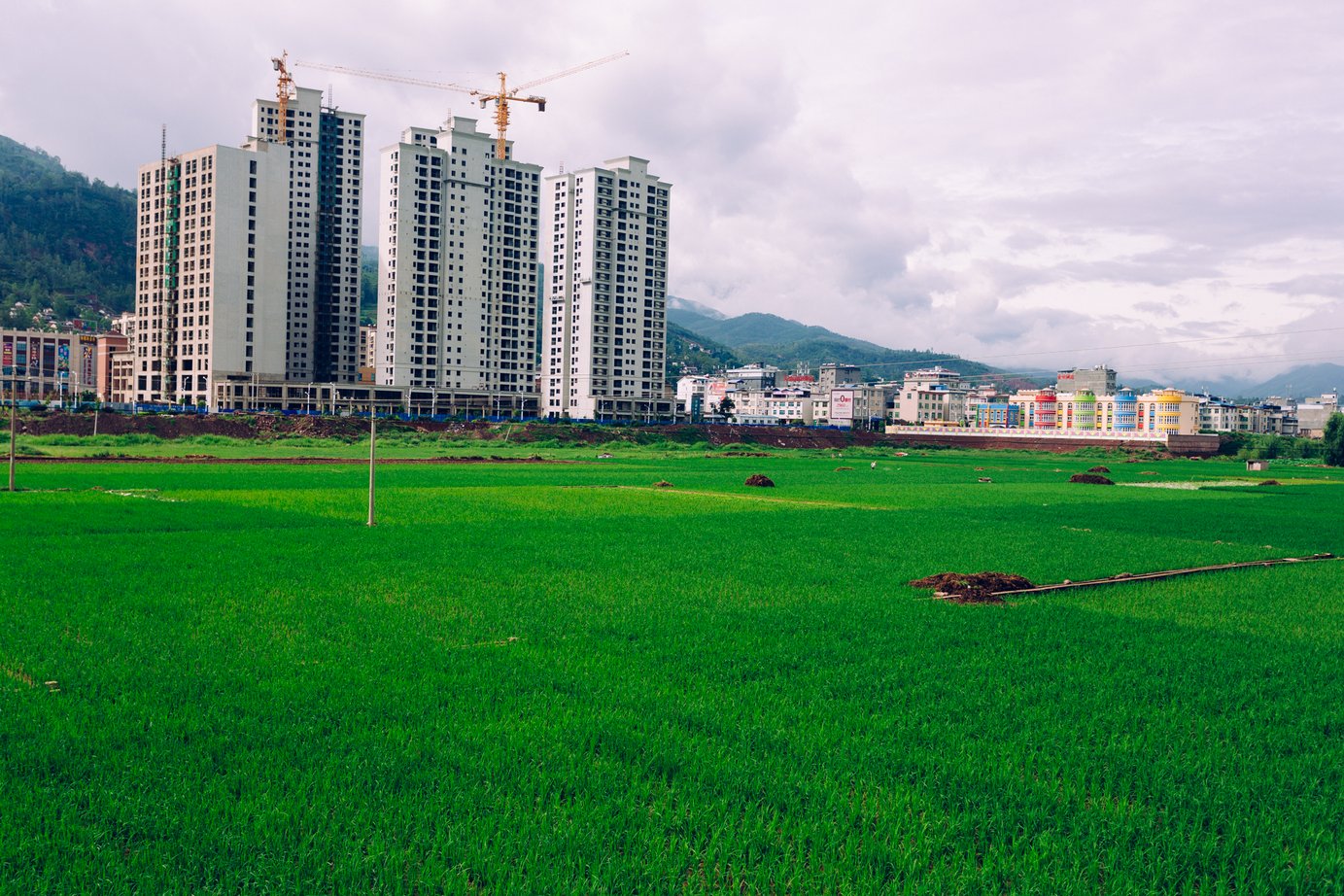 Yunnan